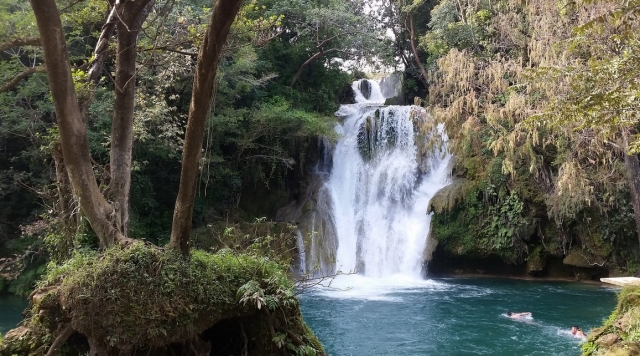 tamasopo
