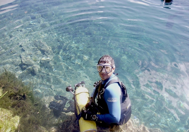 diving fans 