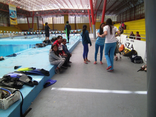 Diving classes in the pool 