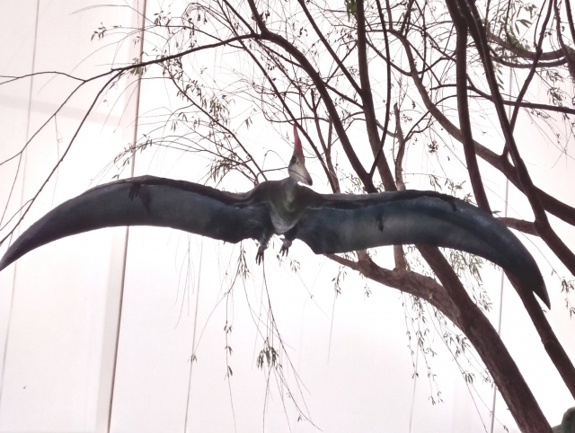  Pterodactyl 