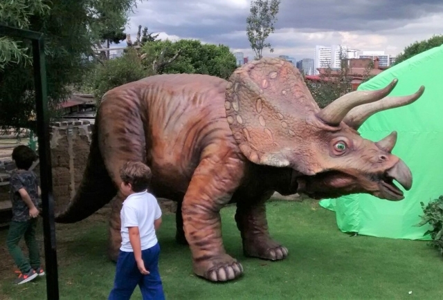  Triceratops