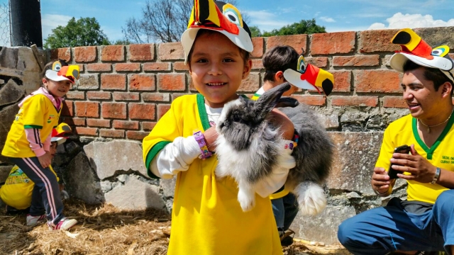  FARM