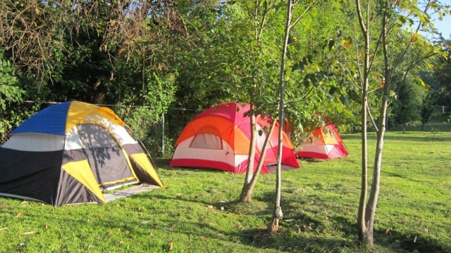  Area campeggio 