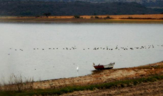 Disfruta del paisaje