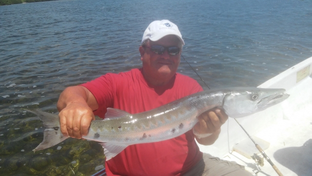  Diversité des poissons 