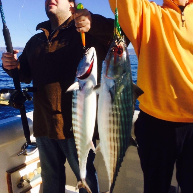  Sportfischen in der Bucht 