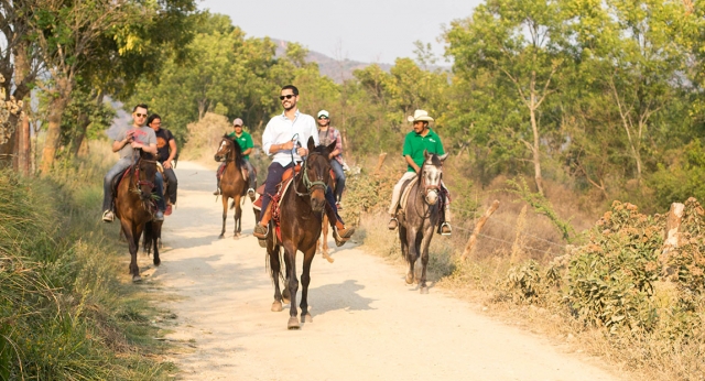  Horseback riding along the trails 