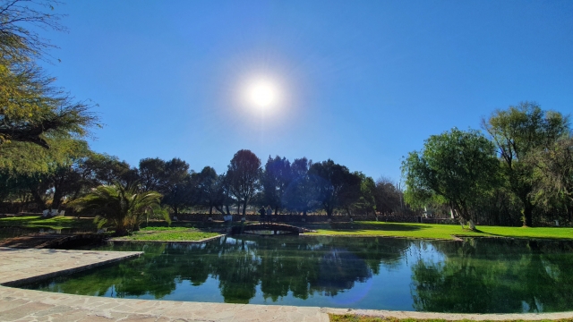 Áreas verdes del parque