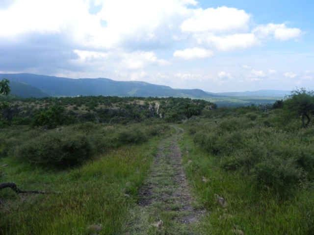  Trails with spectacular landscapes around you