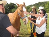Equine team building challenge in Valle de Bravo