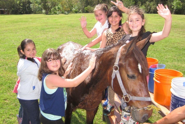  Fare il bagno al cavallo 