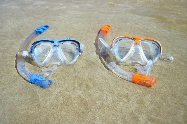 Vieni a fare snorkeling 
