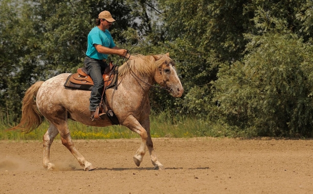  Passeggiata a cavallo a Monterrey 
