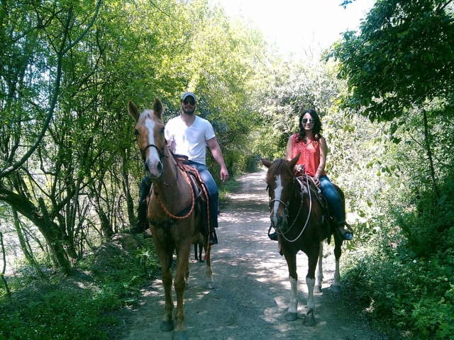  Trascorrere una giornata a cavallo 