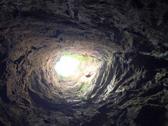  View from the bottom of the basement 