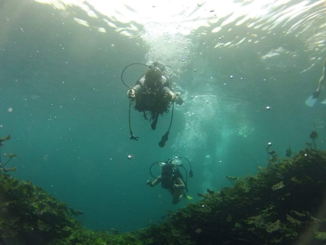  Explorando a lagoa crescente 