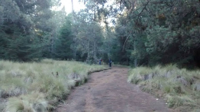 El sendero por el parque nacional 