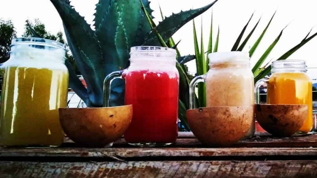  特奥蒂瓦坎的 Pulque