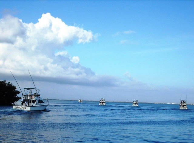 Pesca, nosotros te llevamos