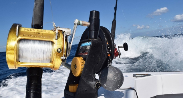 Te damos los materiales para la pesca