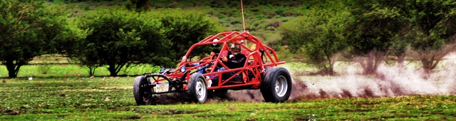  Trottole con buggy