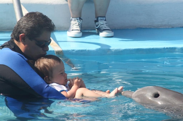  Delphin