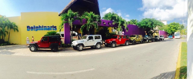  Vários Jeep 
