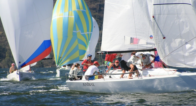 Paseo en velero por la mañana