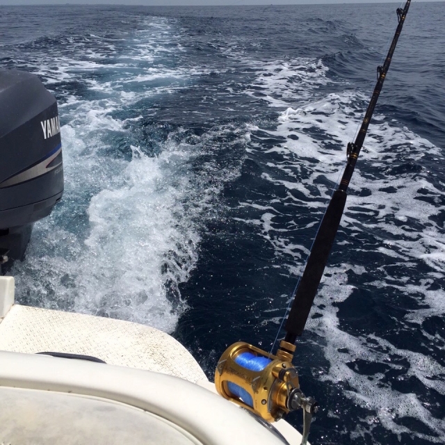 Nos vamos alta mar