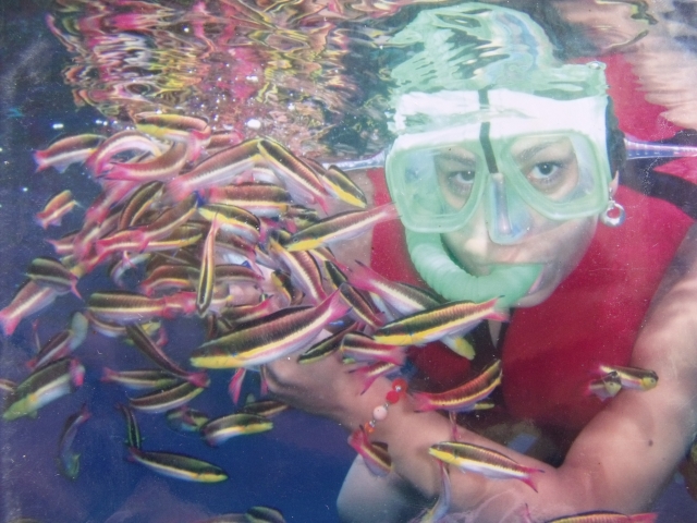 Snorkel 