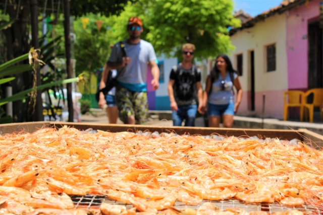  Nayarit gastronomy