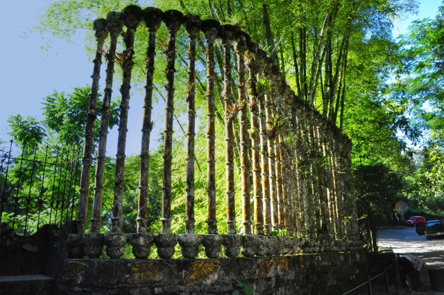 Paseo en las pozas de Xilitla