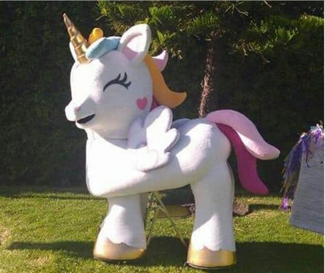  Spaß mit dem Pony 