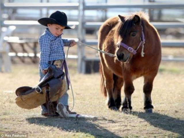  Festeggiare con un pony