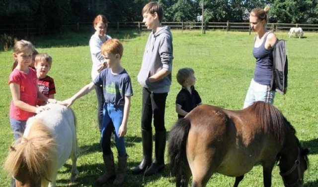  Tutta la famiglia conosce il pony 