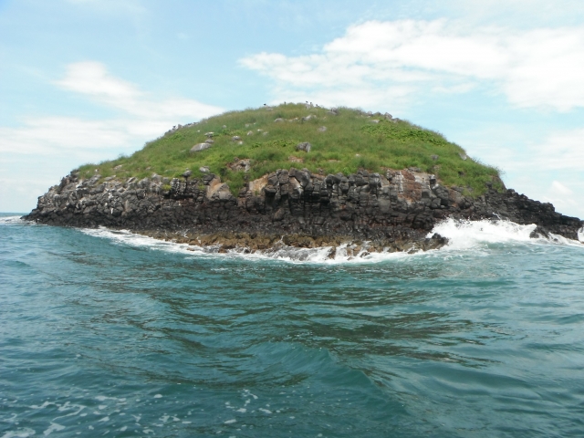  Ilha coral