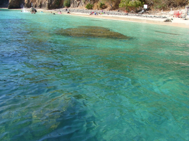 Coral Island 
