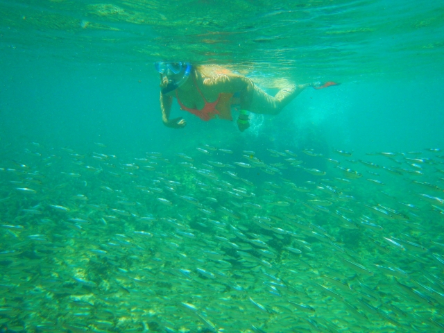  浮潜 