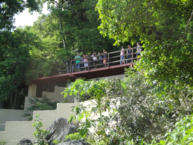  Bridge 