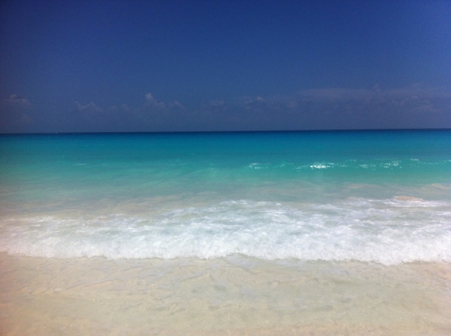  Snorkeling on the island 