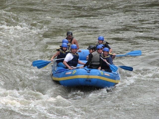  Activity for the whole family 