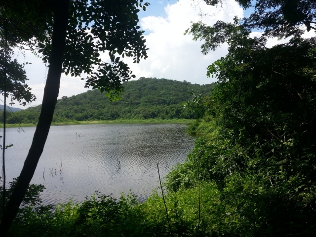  泻湖美景 