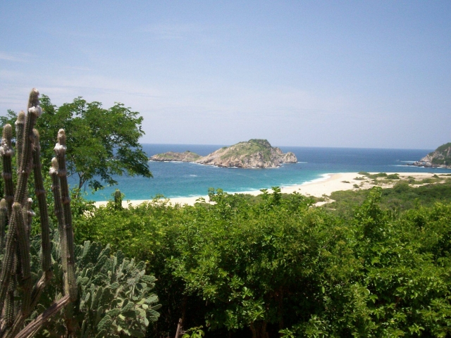  Huatulco-Dschungel