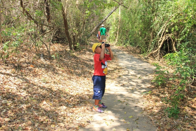 Observación de naturaleza