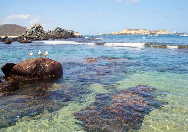 Conoce las bahias 