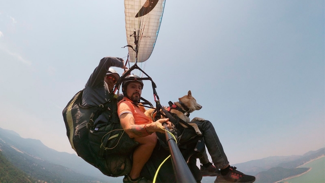  Vol avec mon animal 