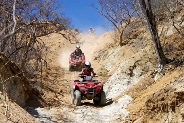  Adrenalina alla guida del tuo ATV 