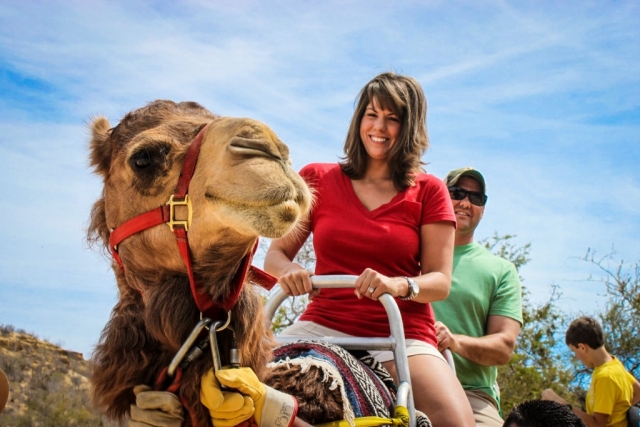  Aproveite o Camel Walk 