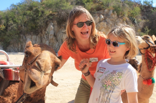 Aventura com camelos 