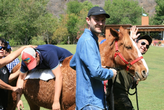  Conoscere il cavallo 